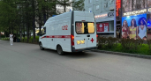 Во Владимирской области гадюка укусила женщину во время посадки картофеля