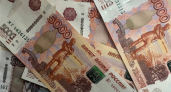 Во Владимирской области возбуждены уголовные дела по факту незаконной вырубки леса на 4,7 миллионов рублей